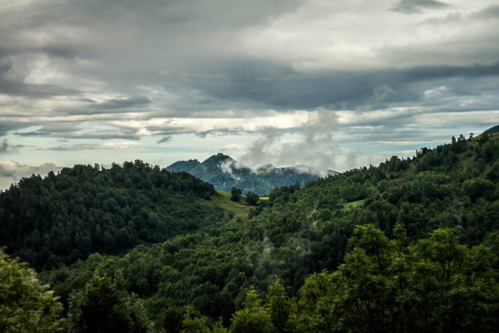 lluis-domingo-ToQ4wgbciGM-unsplash