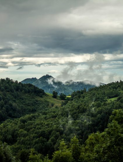 Réserve forestière et faunique de Santchou