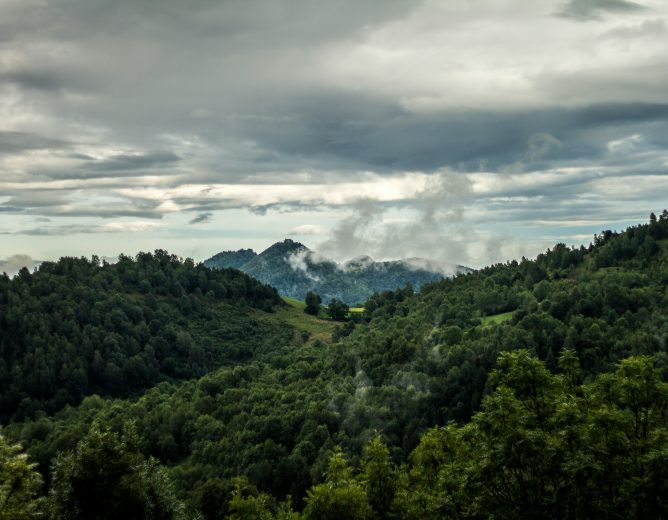 Réserve forestière et faunique de Santchou